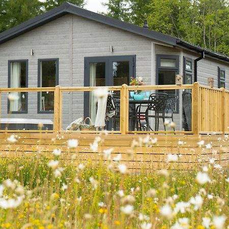 Hollicarrs Holiday Park - Hares Leap Riccall Luaran gambar