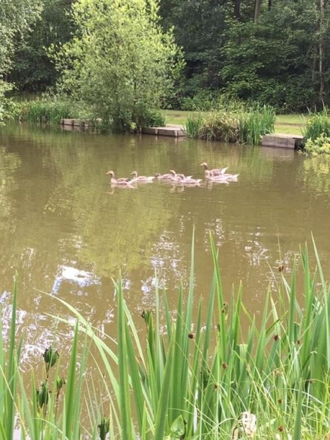 Hollicarrs Holiday Park - Hares Leap Riccall Luaran gambar