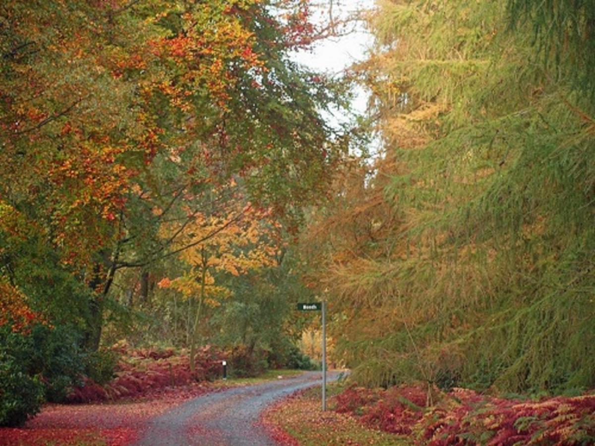 Hollicarrs Holiday Park - Hares Leap Riccall Luaran gambar