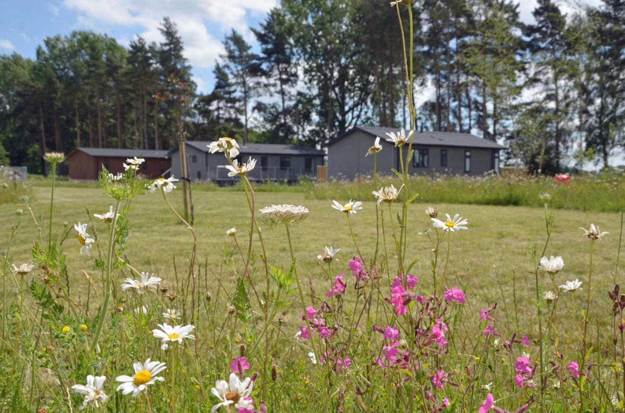 Hollicarrs Holiday Park - Hares Leap Riccall Luaran gambar