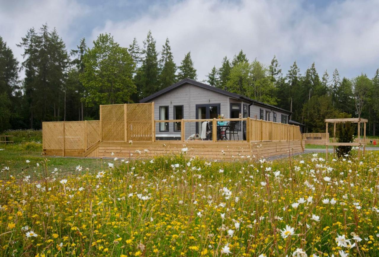 Hollicarrs Holiday Park - Hares Leap Riccall Luaran gambar