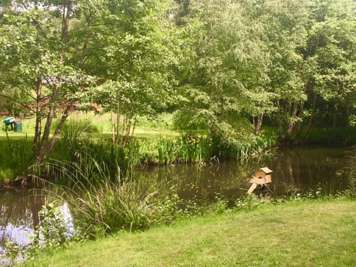Hollicarrs Holiday Park - Hares Leap Riccall Luaran gambar