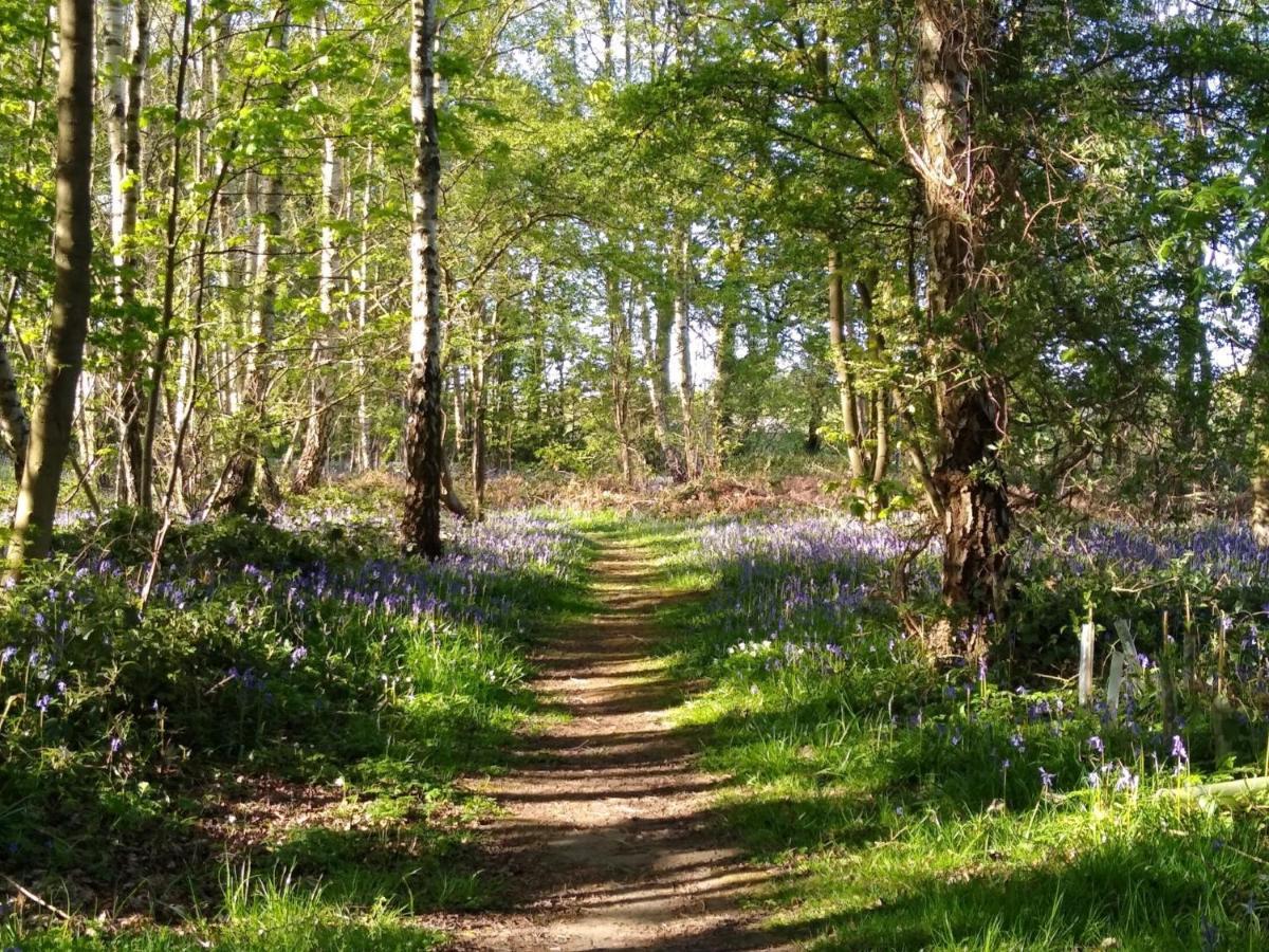 Hollicarrs Holiday Park - Hares Leap Riccall Luaran gambar